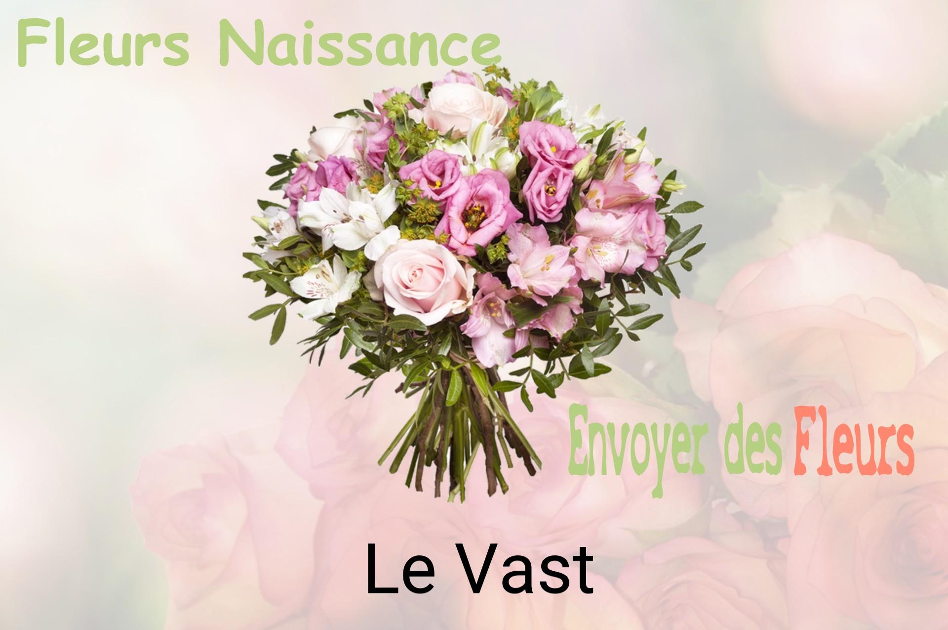 Bouquet de fleurs de naissance livré à Le Vast